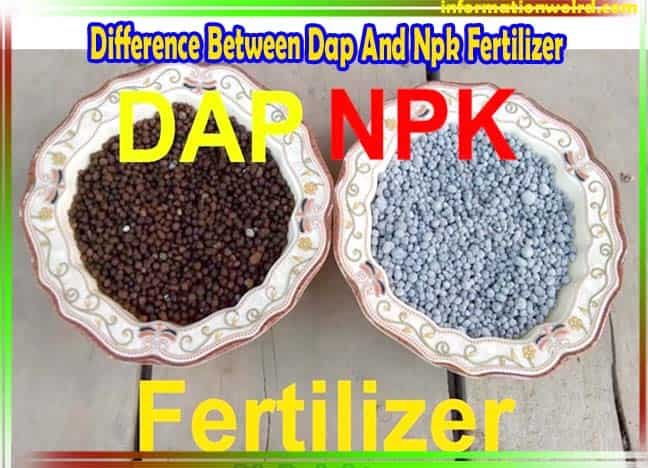 Difference Between Dap And Npk Fertilizer