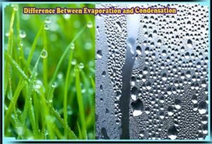 Difference Between Evaporation and Condensation