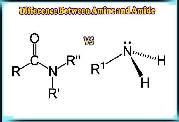 Difference Between Amine and Amide