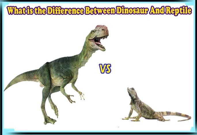 Difference Between Dinosaur And Reptile